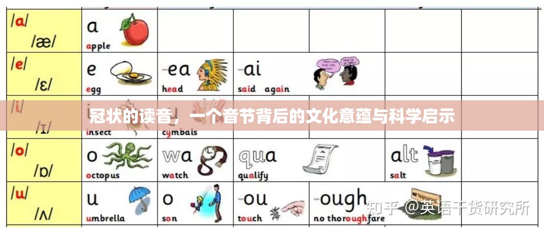 冠状的读音，一个音节背后的文化意蕴与科学启示