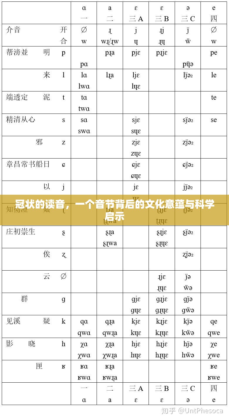 冠状的读音，一个音节背后的文化意蕴与科学启示