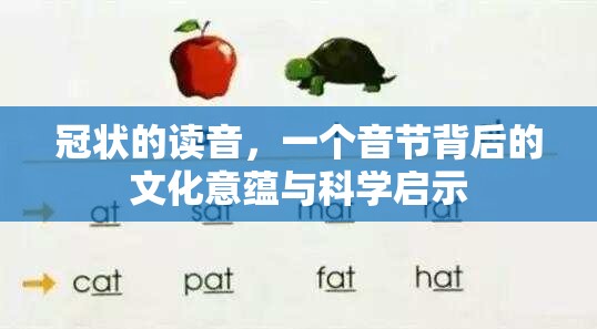 冠状的读音，一个音节背后的文化意蕴与科学启示
