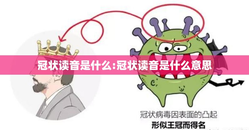 冠状读音是什么:冠状读音是什么意思