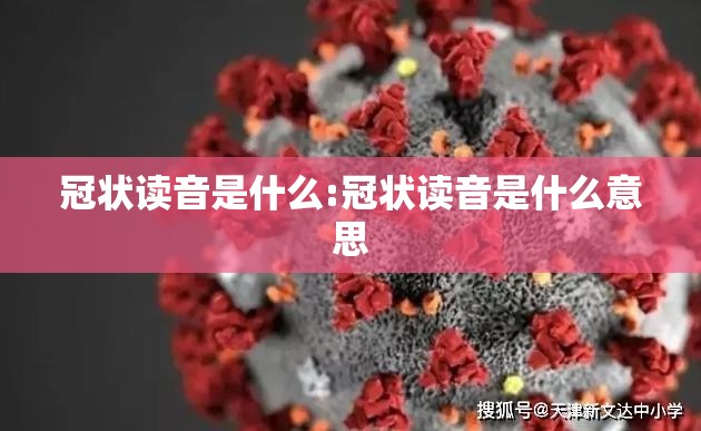 冠状读音是什么:冠状读音是什么意思