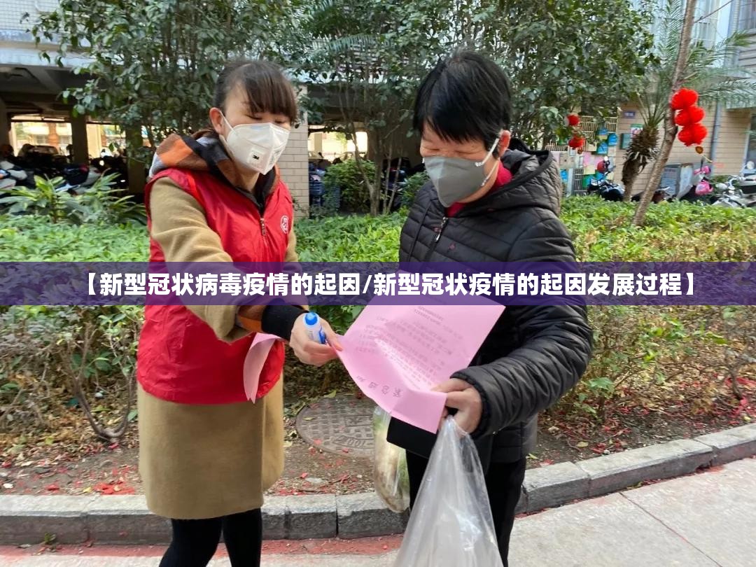 【新型冠状病毒疫情的起因/新型冠状疫情的起因发展过程】
