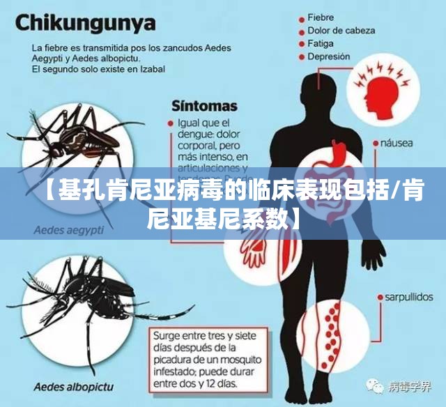【基孔肯尼亚病毒的临床表现包括/肯尼亚基尼系数】