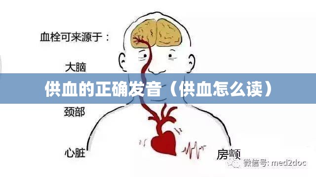 供血的正确发音（供血怎么读）