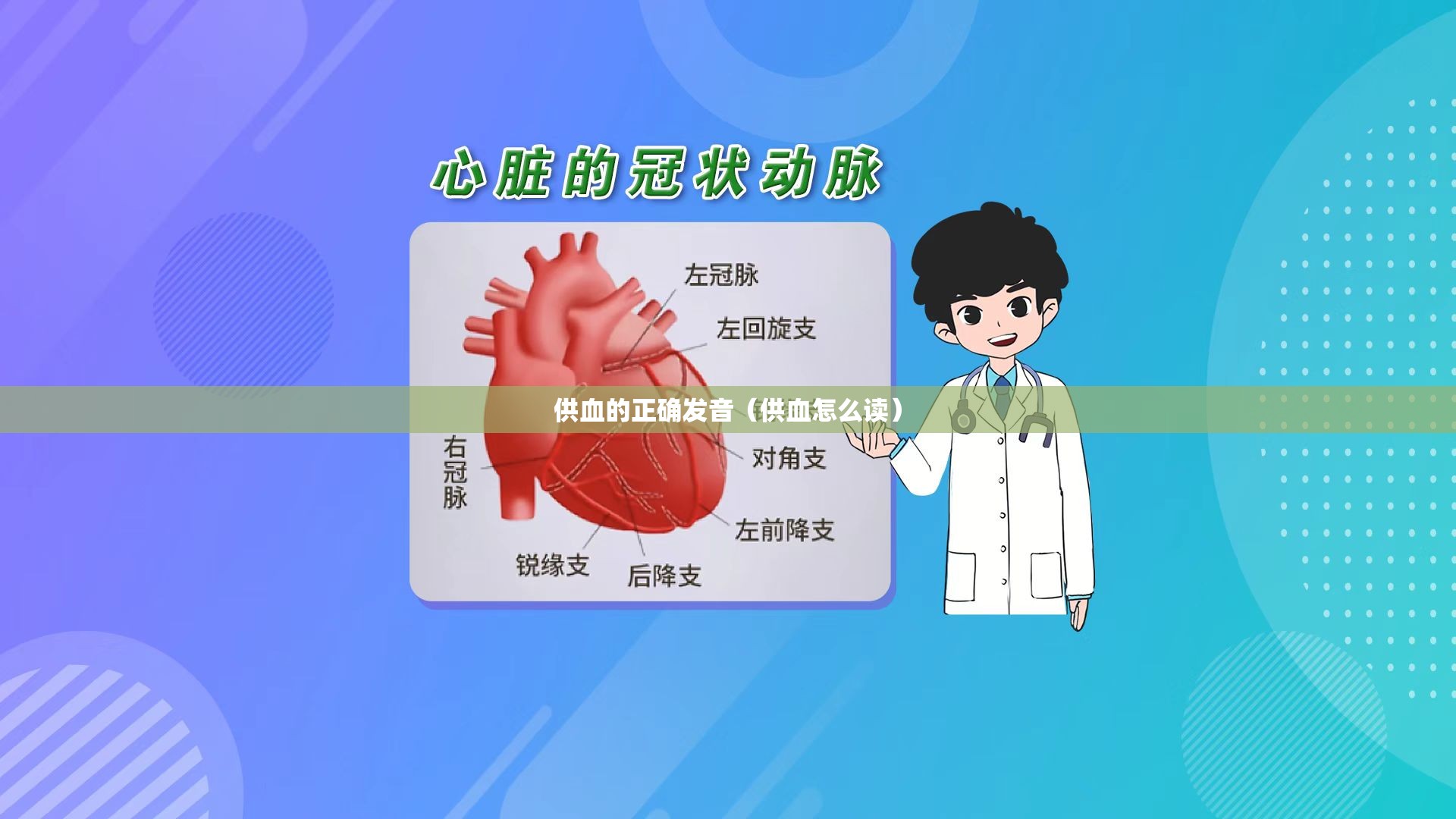 供血的正确发音（供血怎么读）