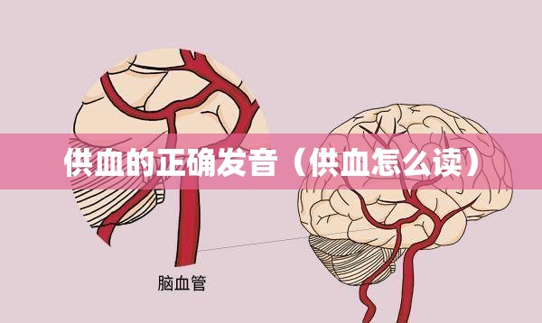 供血的正确发音（供血怎么读）