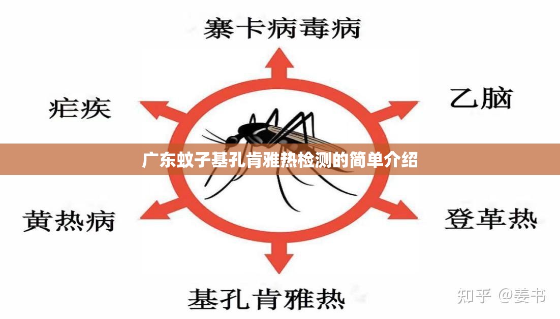 广东蚊子基孔肯雅热检测的简单介绍