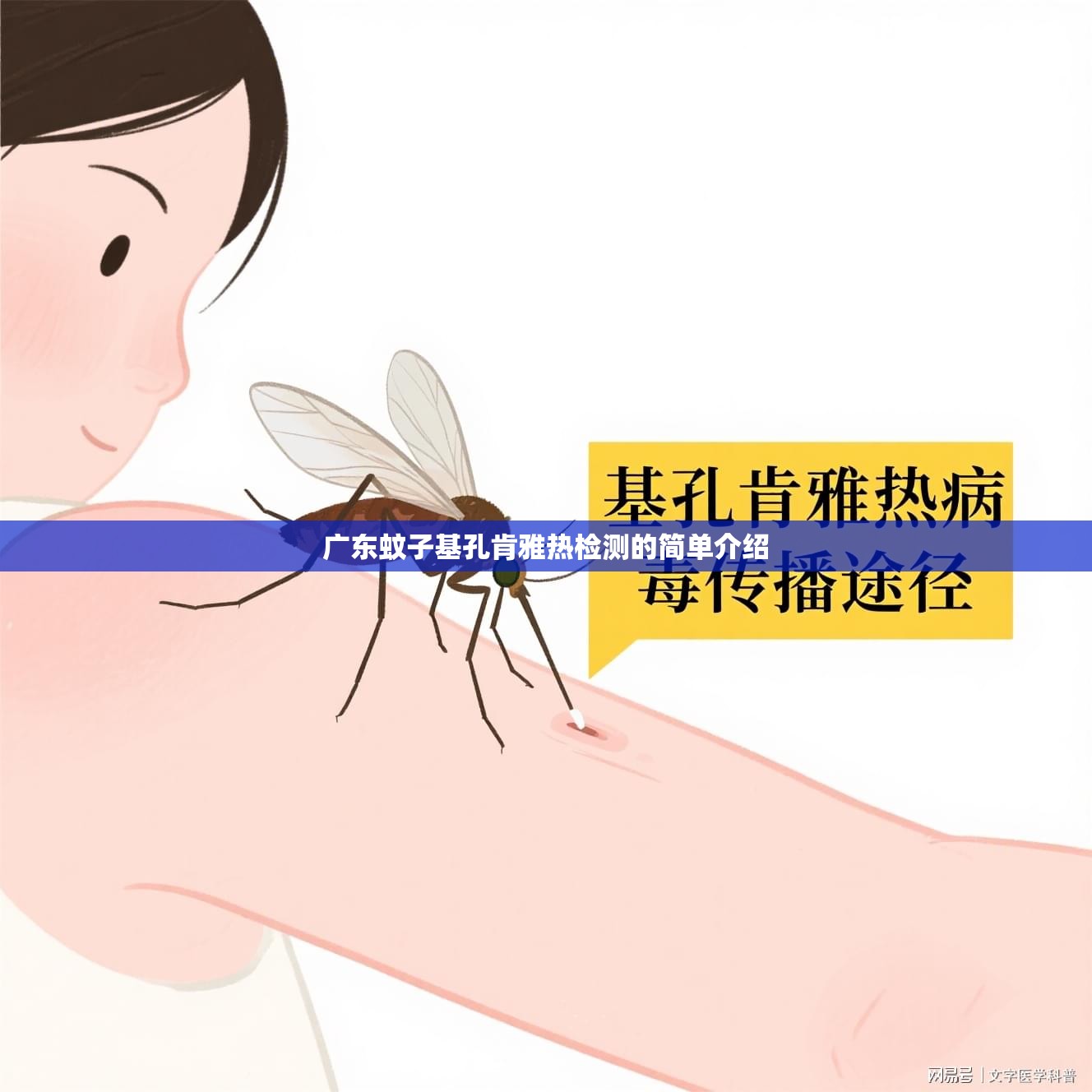 广东蚊子基孔肯雅热检测的简单介绍