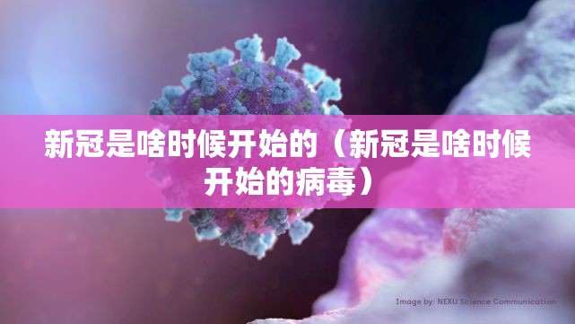 新冠是啥时候开始的（新冠是啥时候开始的病毒）