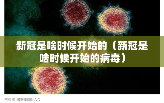 新冠是啥时候开始的（新冠是啥时候开始的病毒）