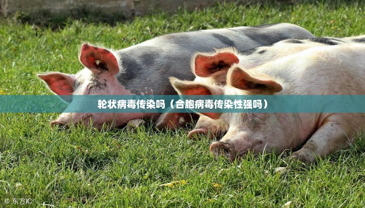 轮状病毒传染吗（合胞病毒传染性强吗）