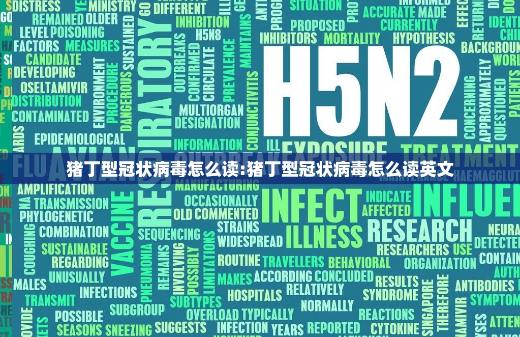 猪丁型冠状病毒怎么读:猪丁型冠状病毒怎么读英文