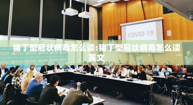 猪丁型冠状病毒怎么读:猪丁型冠状病毒怎么读英文