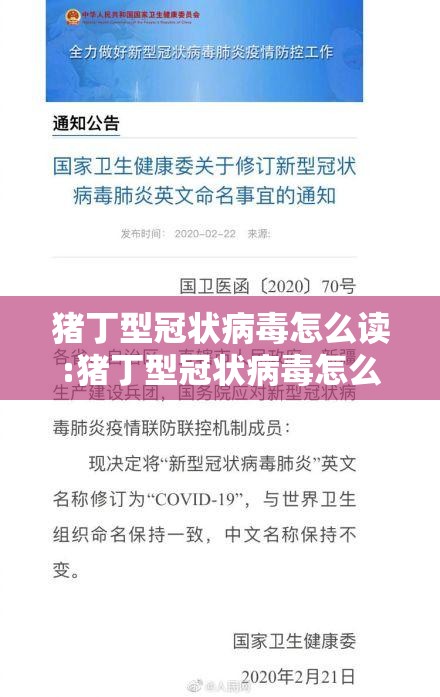 猪丁型冠状病毒怎么读:猪丁型冠状病毒怎么读英文