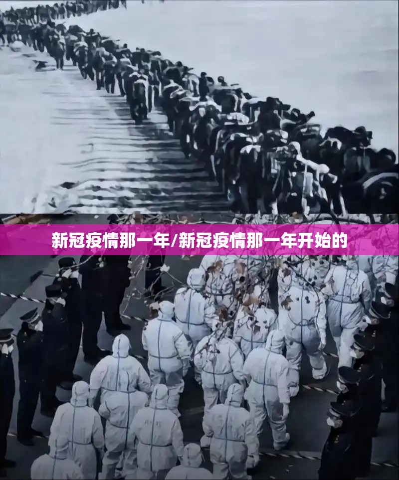 新冠疫情那一年/新冠疫情那一年开始的