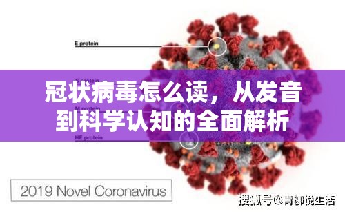 冠状病毒怎么读，从发音到科学认知的全面解析