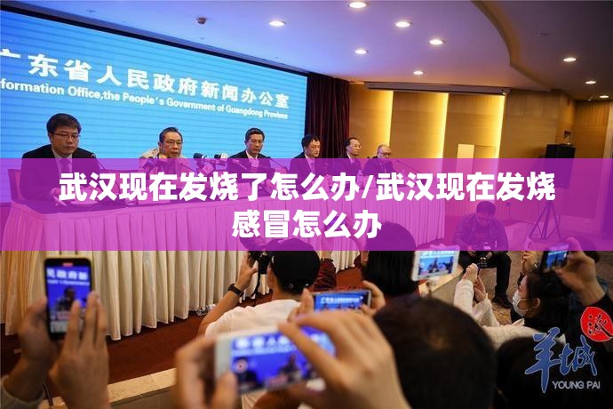 武汉现在发烧了怎么办/武汉现在发烧感冒怎么办 武汉现在发烧了怎么办/武汉现在发烧感冒怎么办