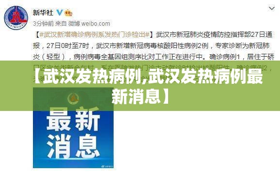 【武汉发热病例,武汉发热病例最新消息】