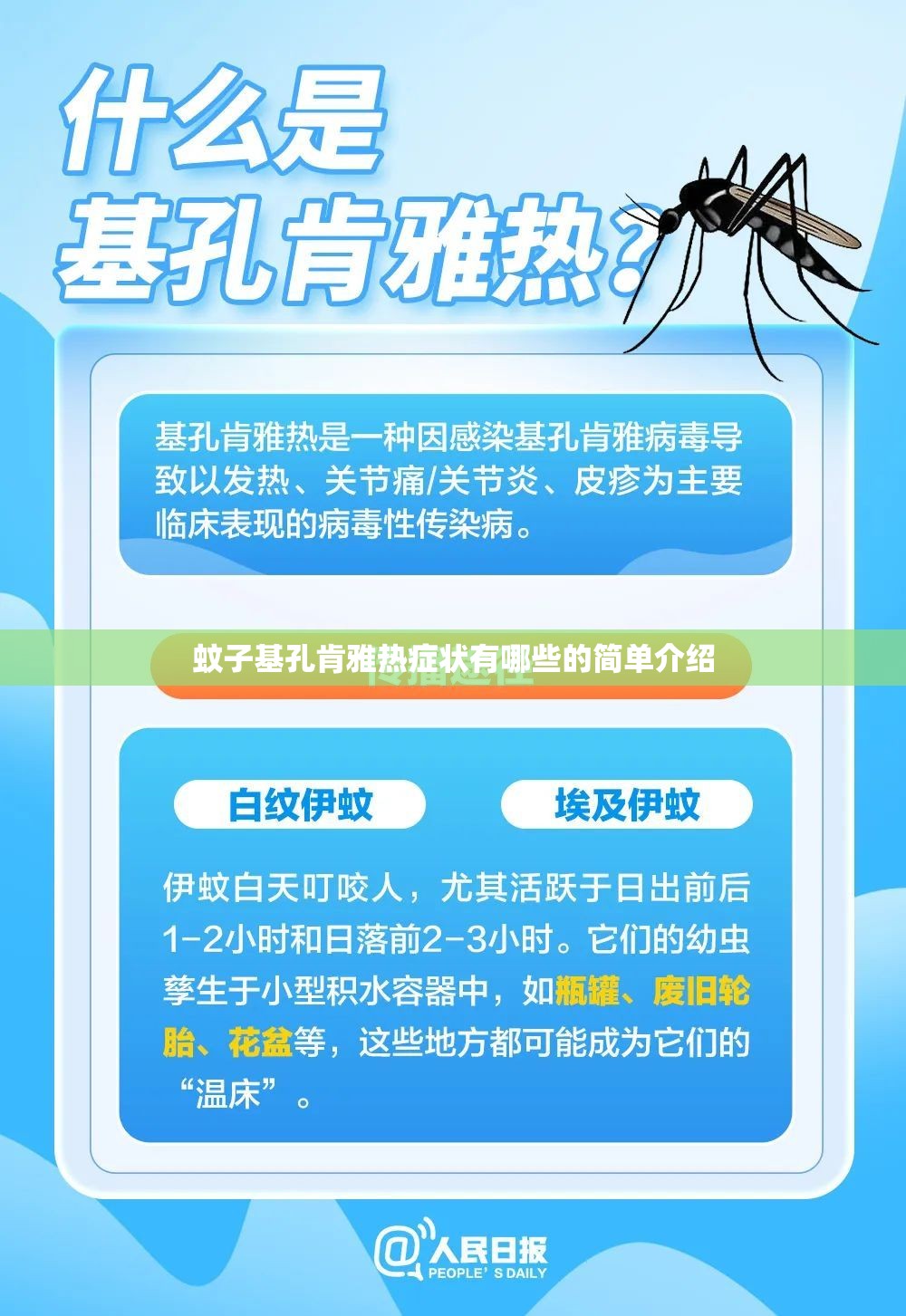 蚊子基孔肯雅热症状有哪些的简单介绍