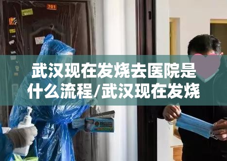 武汉现在发烧去医院是什么流程/武汉现在发烧