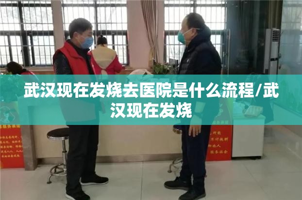 武汉现在发烧去医院是什么流程/武汉现在发烧