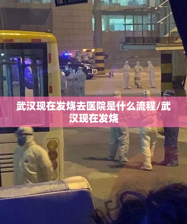 武汉现在发烧去医院是什么流程/武汉现在发烧