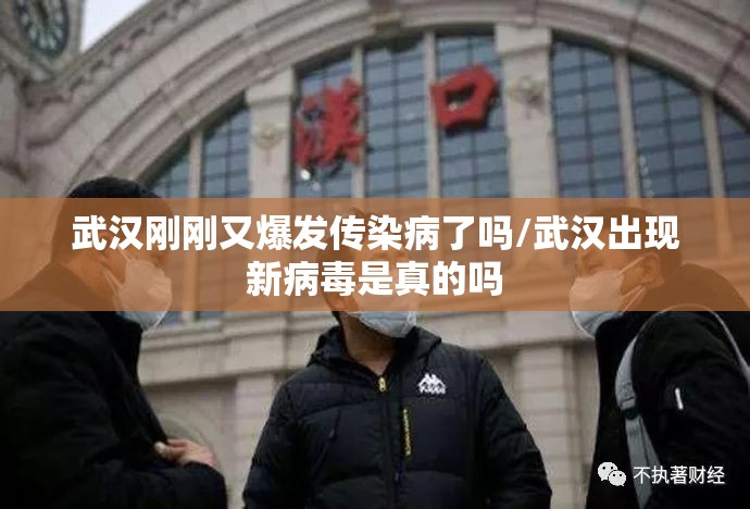 武汉刚刚又爆发传染病了吗/武汉出现新病毒是真的吗