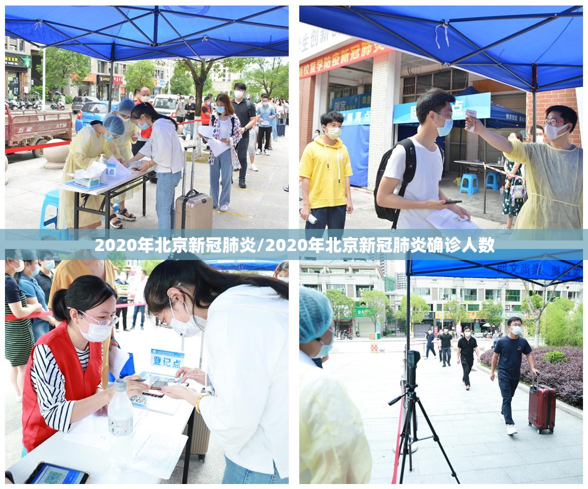 2020年北京新冠肺炎/2020年北京新冠肺炎确诊人数