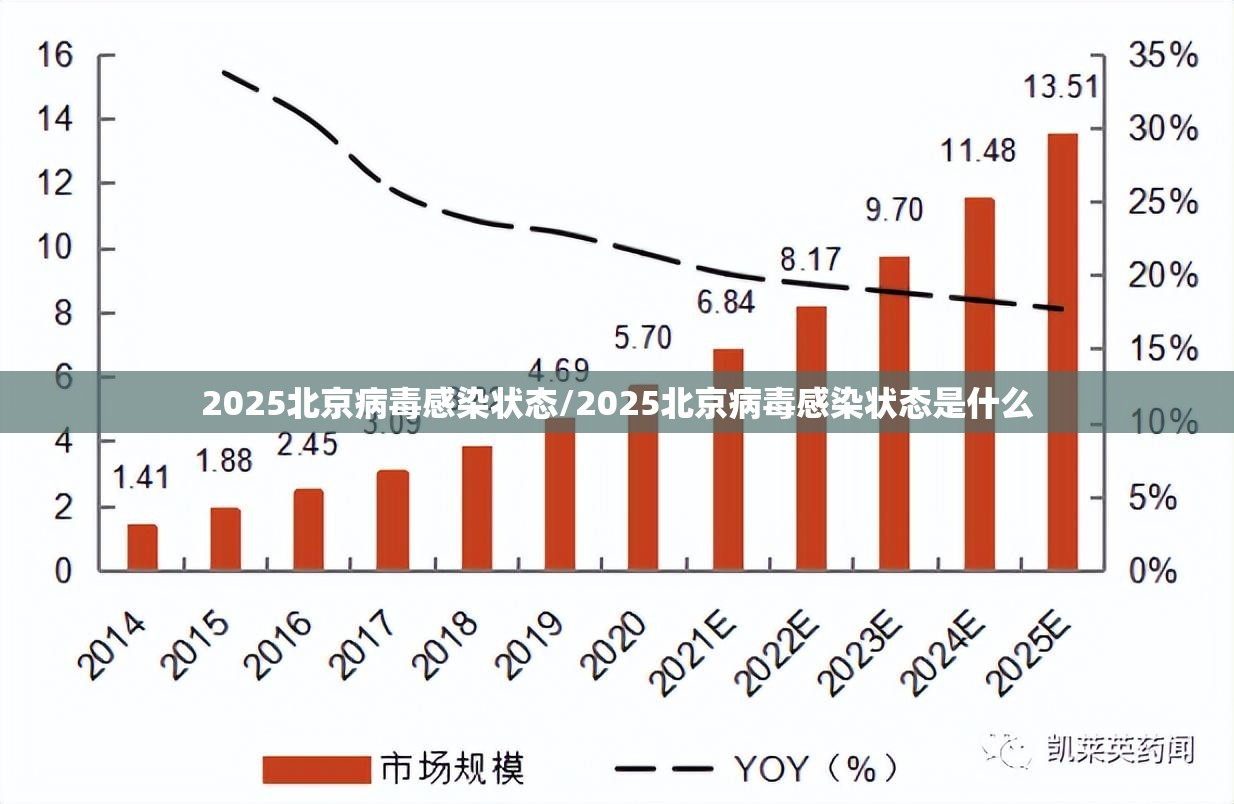 2025北京病毒感染状态/2025北京病毒感染状态是什么