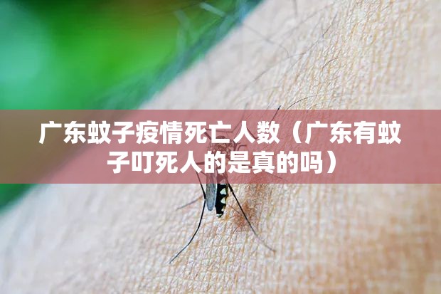 广东蚊子疫情死亡人数（广东有蚊子叮死人的是真的吗）