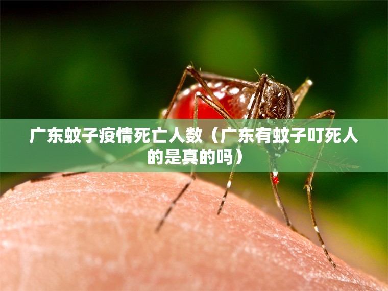 广东蚊子疫情死亡人数（广东有蚊子叮死人的是真的吗）