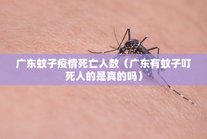 广东蚊子疫情死亡人数（广东有蚊子叮死人的是真的吗）