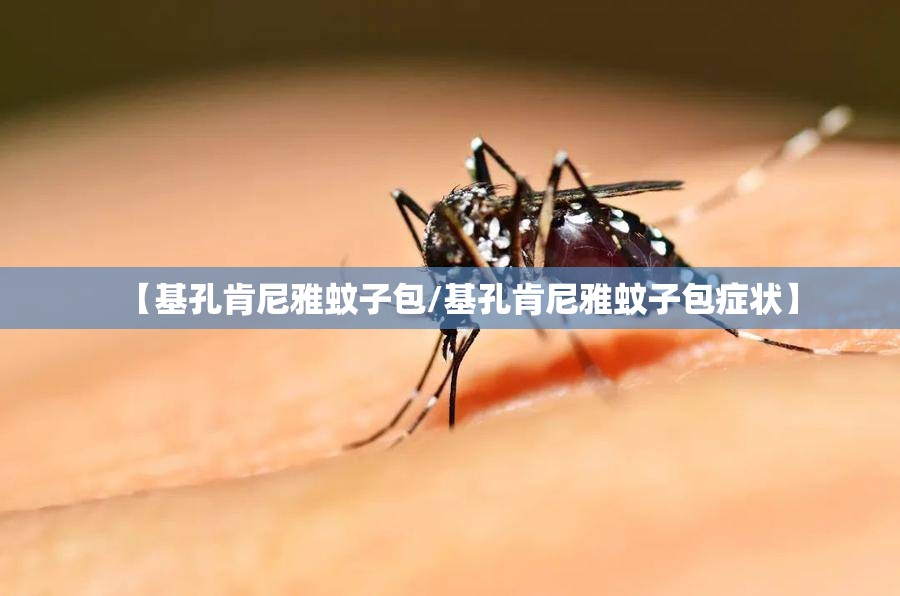 【基孔肯尼雅蚊子包/基孔肯尼雅蚊子包症状】