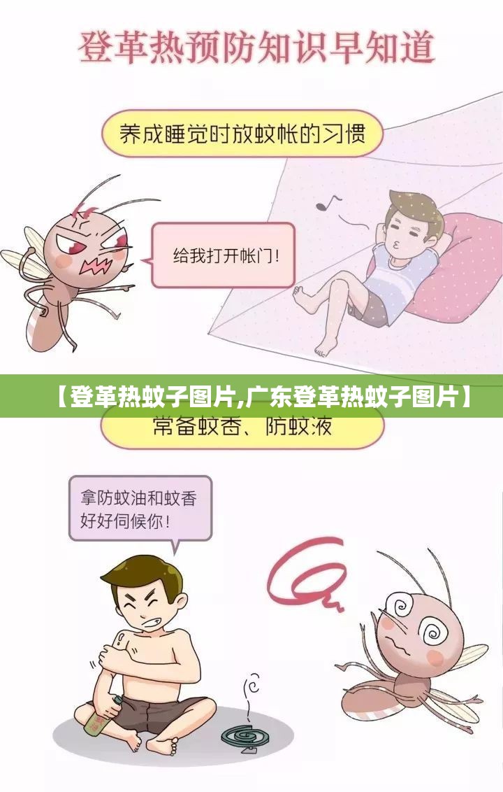 【登革热蚊子图片,广东登革热蚊子图片】