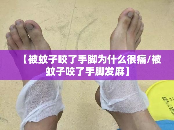 【被蚊子咬了手脚为什么很痛/被蚊子咬了手脚发麻】
