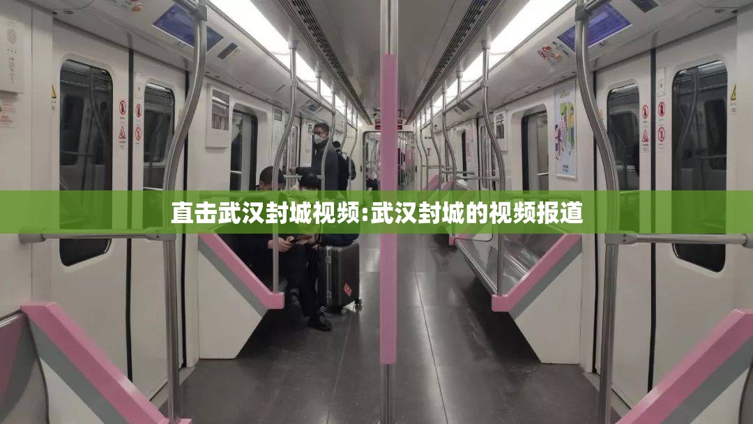 直击武汉封城视频:武汉封城的视频报道