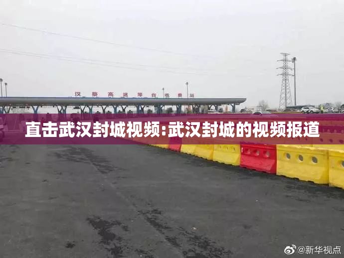直击武汉封城视频:武汉封城的视频报道