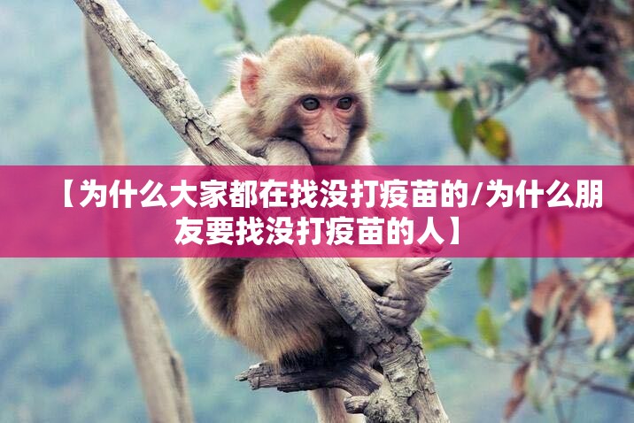 【为什么大家都在找没打疫苗的/为什么朋友要找没打疫苗的人】