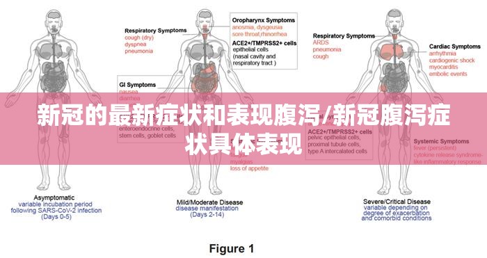 新冠的最新症状和表现腹泻/新冠腹泻症状具体表现