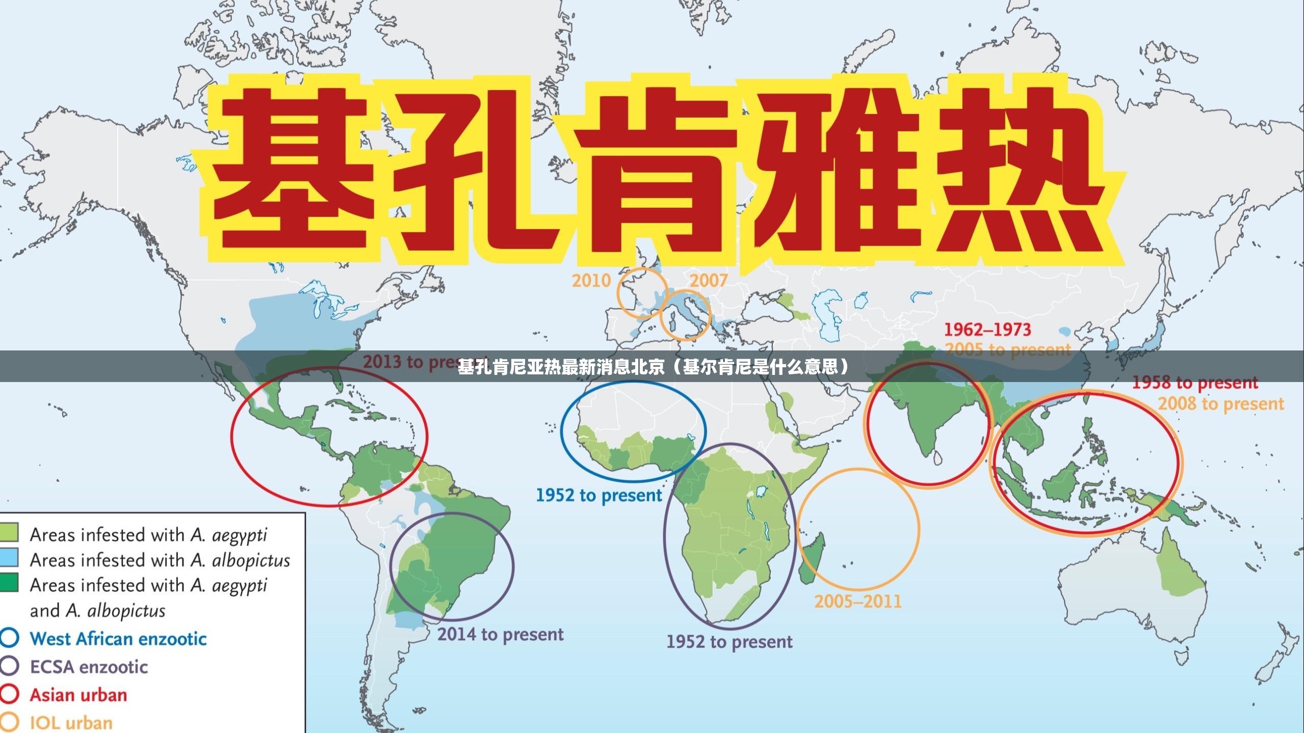 基孔肯尼亚热最新消息北京（基尔肯尼是什么意思）