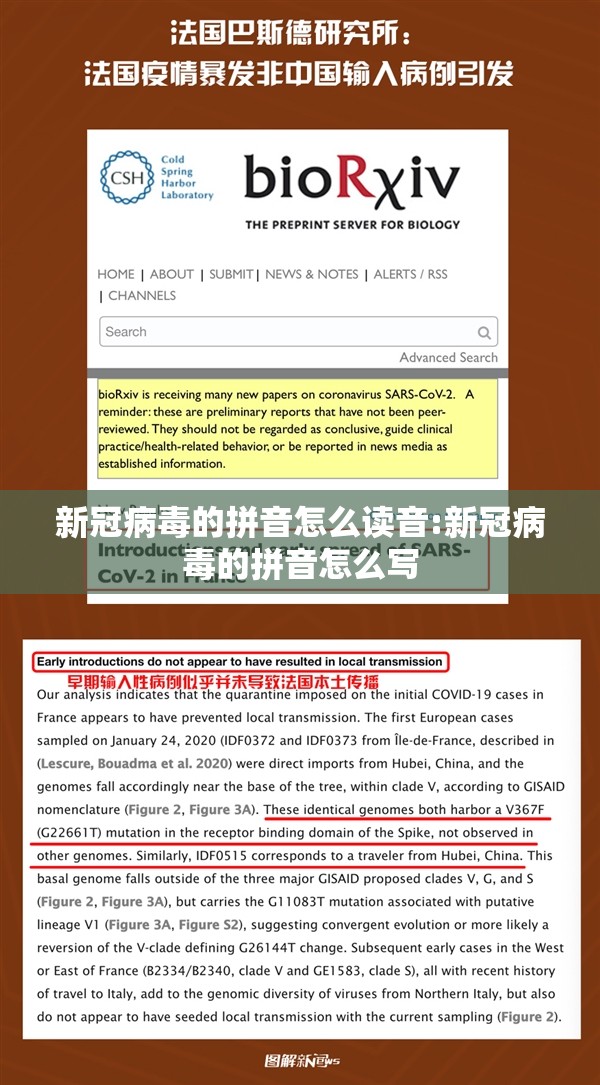 新冠病毒的拼音怎么读音:新冠病毒的拼音怎么写
