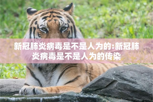 新冠肺炎病毒是不是人为的:新冠肺炎病毒是不是人为的传染