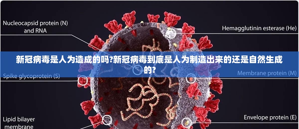 新冠病毒是人为造成的吗?新冠病毒到底是人为制造出来的还是自然生成的?