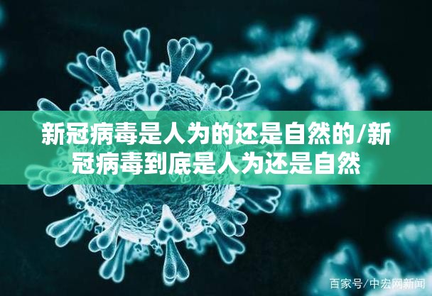 新冠病毒是人为的还是自然的/新冠病毒到底是人为还是自然