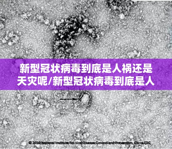 新型冠状病毒到底是人祸还是天灾呢/新型冠状病毒到底是人祸还是天灾