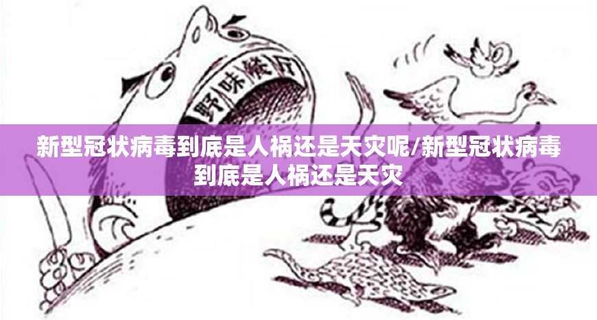 新型冠状病毒到底是人祸还是天灾呢/新型冠状病毒到底是人祸还是天灾