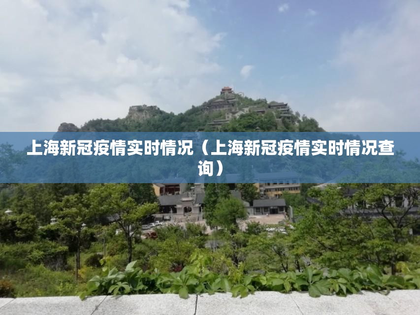 上海新冠疫情实时情况（上海新冠疫情实时情况查询）