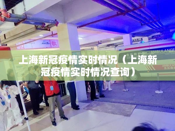 上海新冠疫情实时情况（上海新冠疫情实时情况查询）