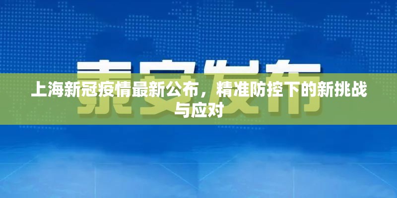 上海新冠疫情最新公布，精准防控下的新挑战与应对