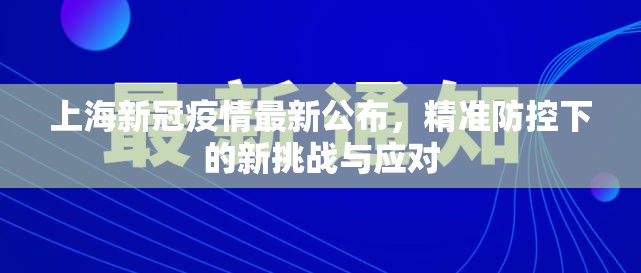 上海新冠疫情最新公布，精准防控下的新挑战与应对